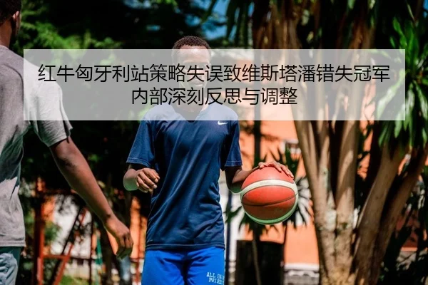 红牛匈牙利站策略失误致维斯塔潘错失冠军 内部深刻反思与调整